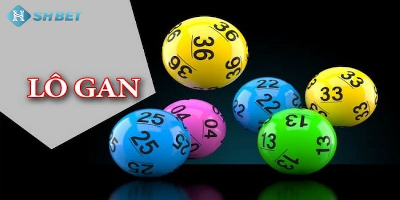 Banner www.toanmanhauto.com