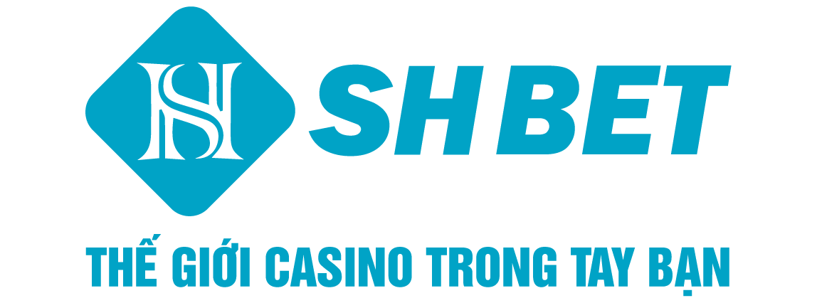 Banner www.toanmanhauto.com