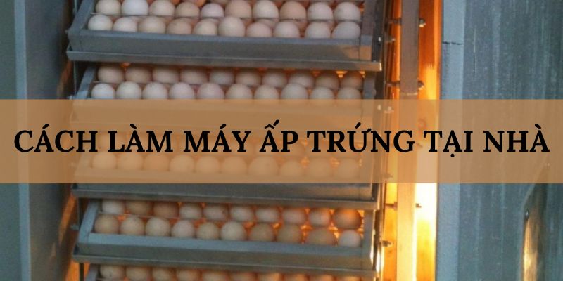 Banner www.toanmanhauto.com