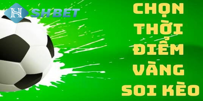 Banner www.toanmanhauto.com