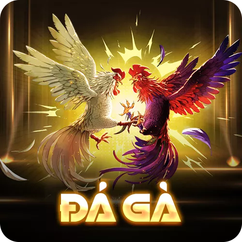 Banner www.toanmanhauto.com