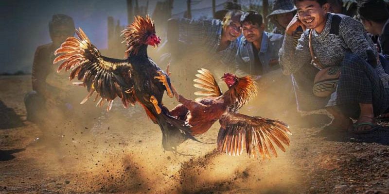 Banner www.toanmanhauto.com