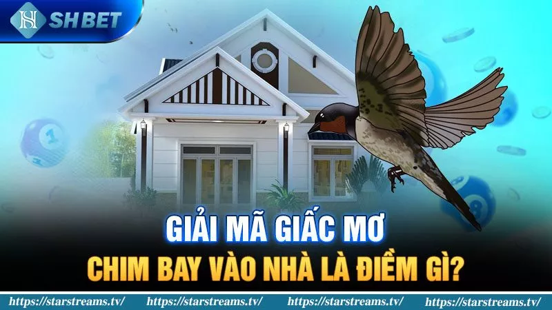 Banner www.toanmanhauto.com