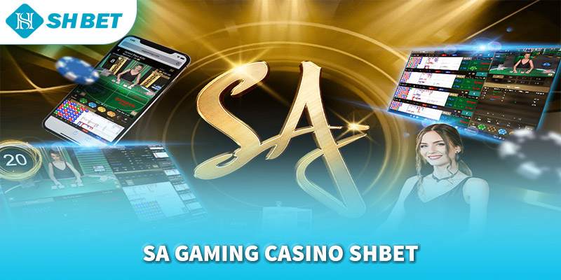 Banner www.toanmanhauto.com