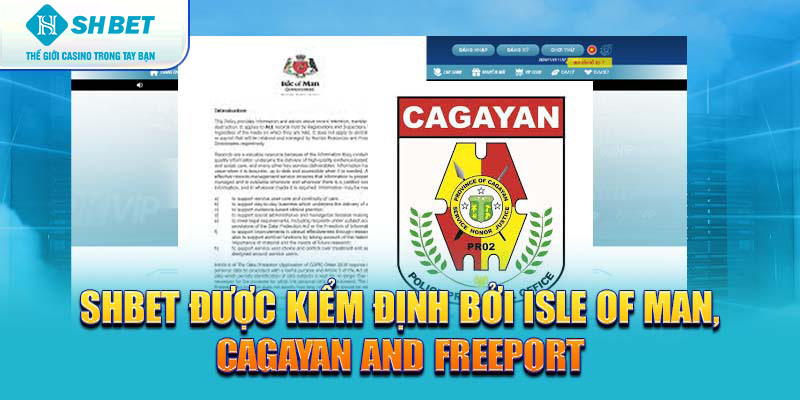 Banner www.toanmanhauto.com