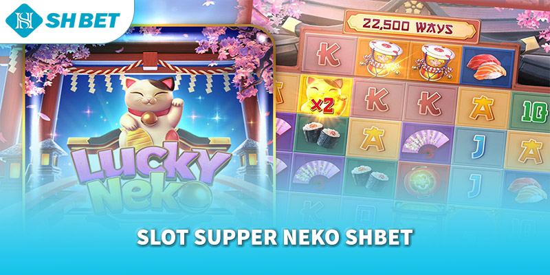 Banner www.toanmanhauto.com